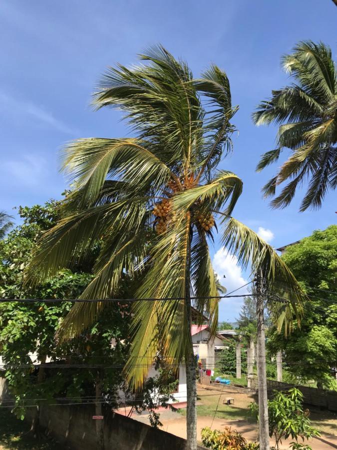Wh Beach Resort Weligama Esterno foto